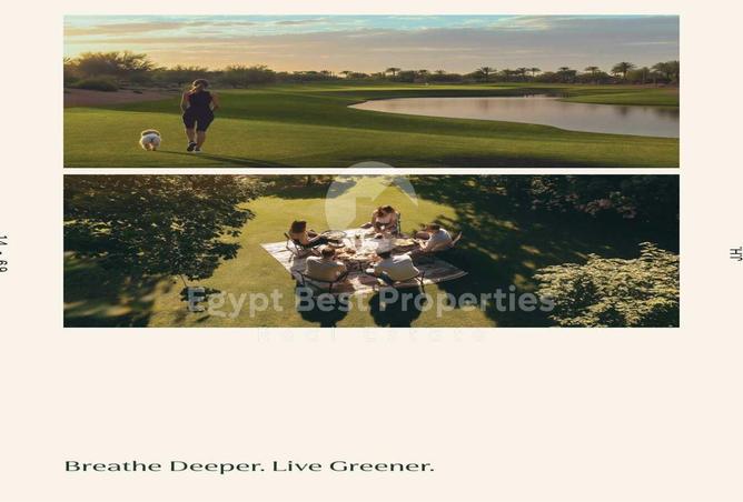 8470390 - Property Image 3