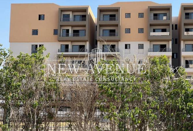 8242308 - صورة العقار 3