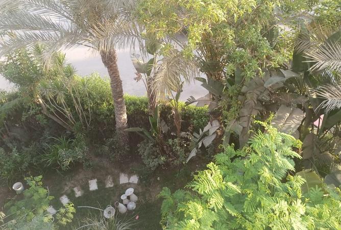 8198716 - صورة العقار 3