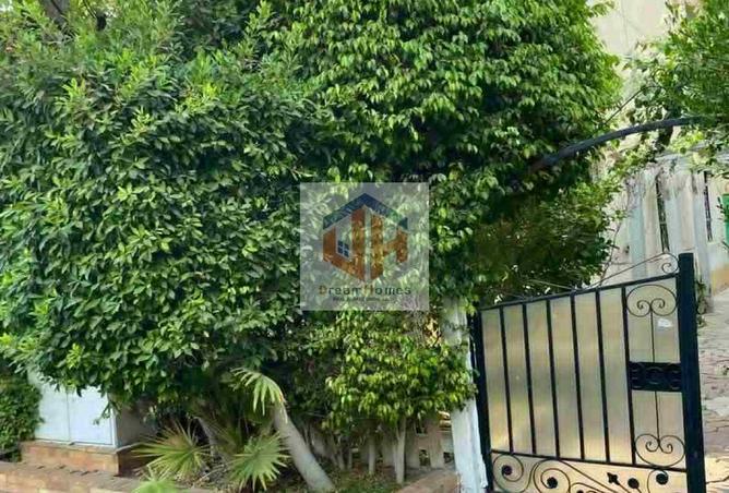 8025020 - صورة العقار 3