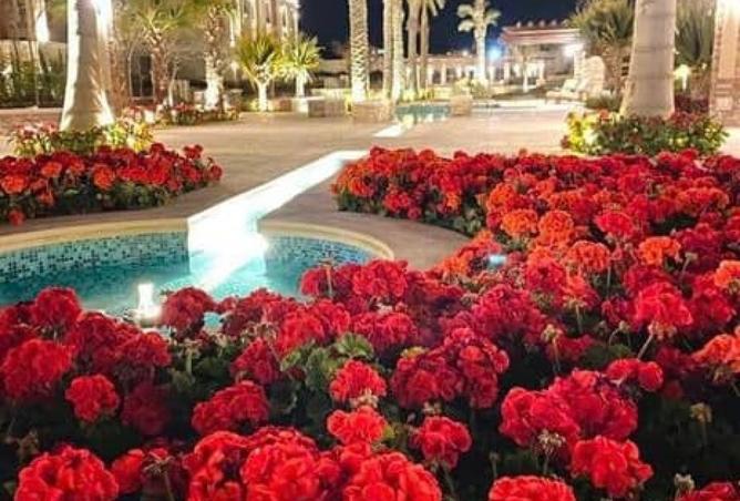 8535708 - Property Image 2