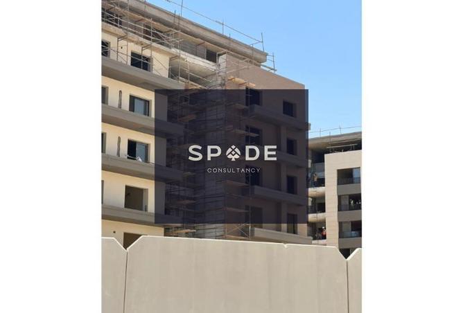 8243556 - Property Image 3