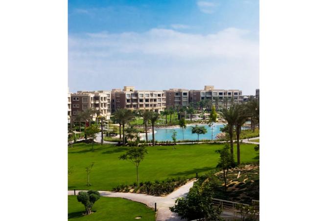 8165138 - Property Image 3