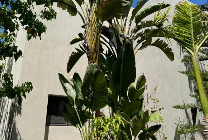 8380495 - صورة العقار 2