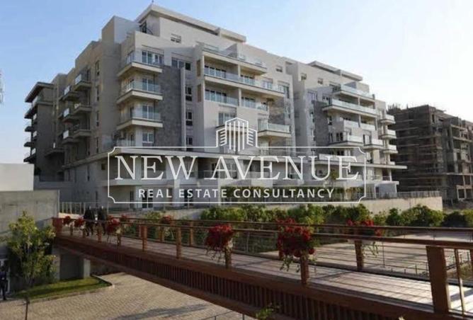 8362867 - Property Image 3