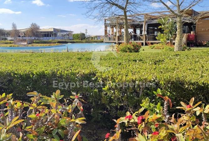 8384769 - Property Image 2