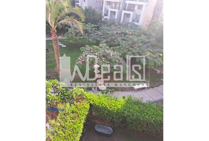 8019528 - صورة العقار 2