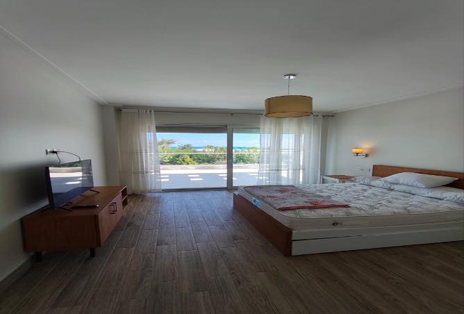 8094208 - Property Image 3