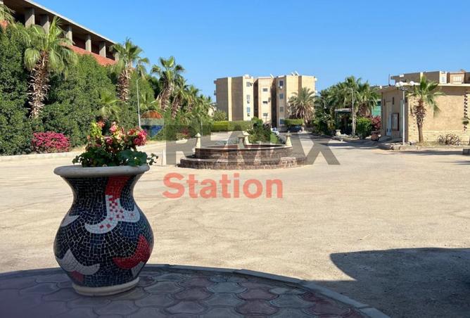 8436505 - صورة العقار 2