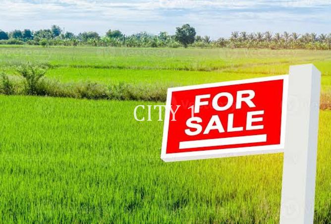 8265923 - صورة العقار 3