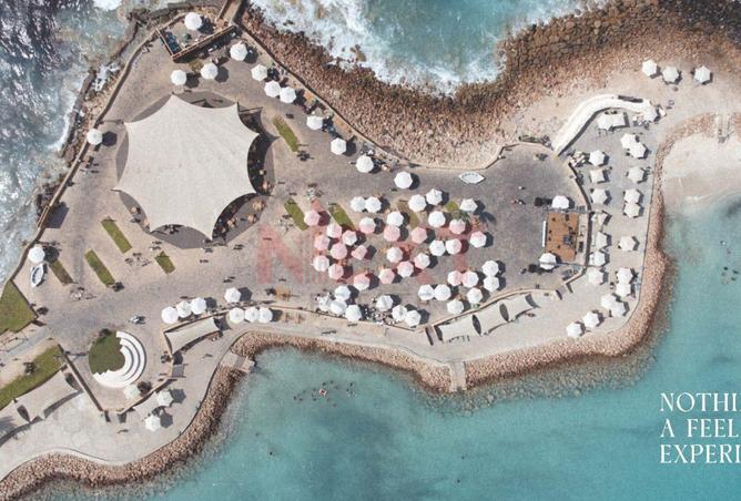 8107622 - صورة العقار 3