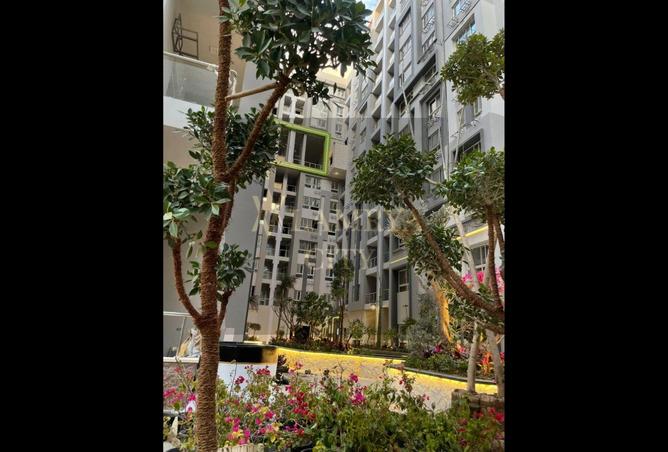 8331515 - Property Image 3