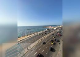 شقة - 3 غرف نوم - 3 حمامات for للايجار in طريق الجيش - كليوباترا - حي شرق - الاسكندرية