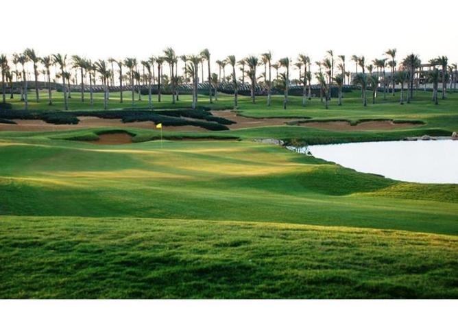 8404895 - Property Image 2