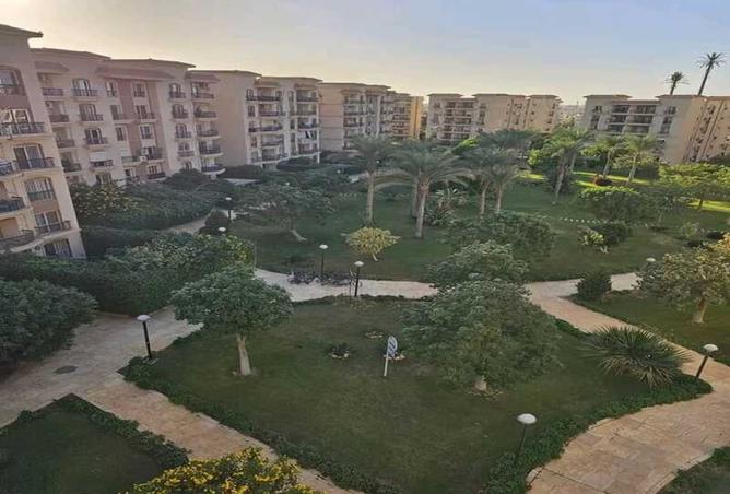 7937986 - صورة العقار 2