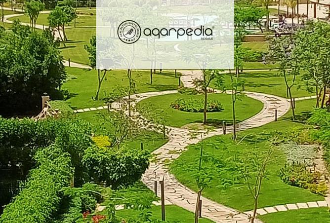 8003693 - الصورة الرئيسية للعقار