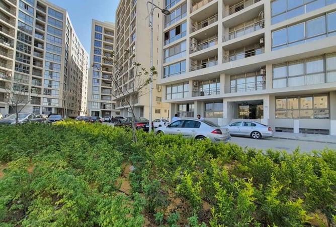 8165917 - صورة العقار 2