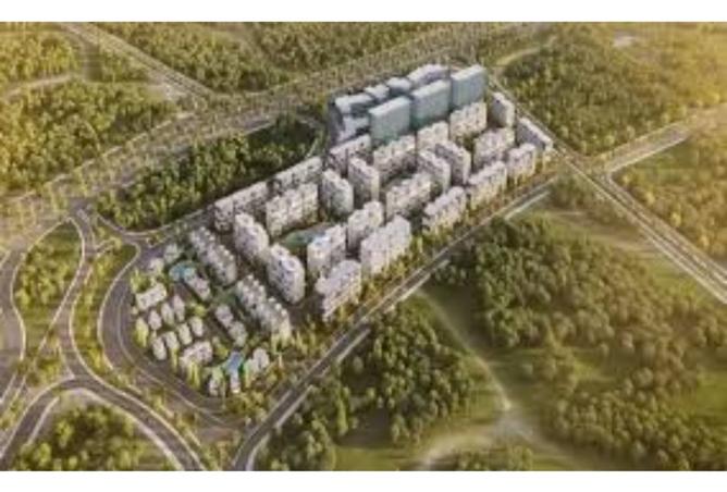 7902270 - Property Image 3