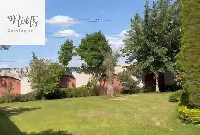 8295196 - Property Image 2