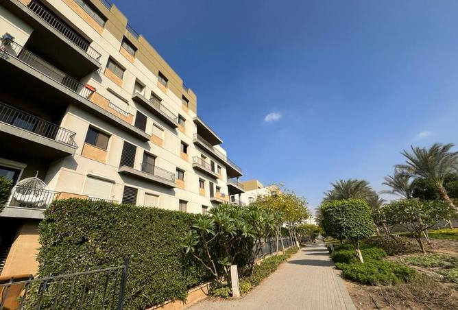 8326133 - Property Image 3