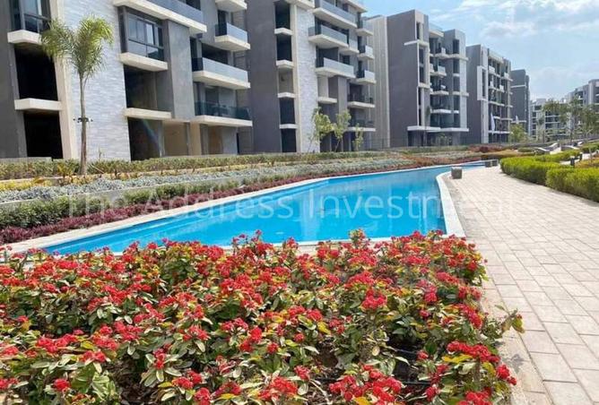 7906383 - Property Image 3