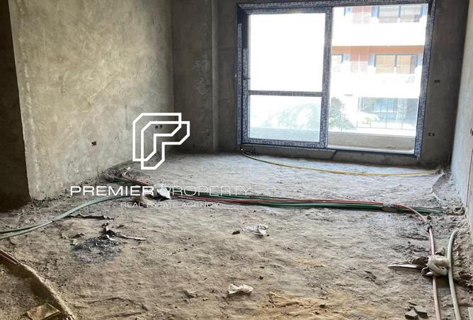 8431437 - Property Image 3