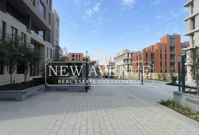 8387887 - Property Image 3