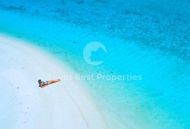 8194506 - صورة العقار 3