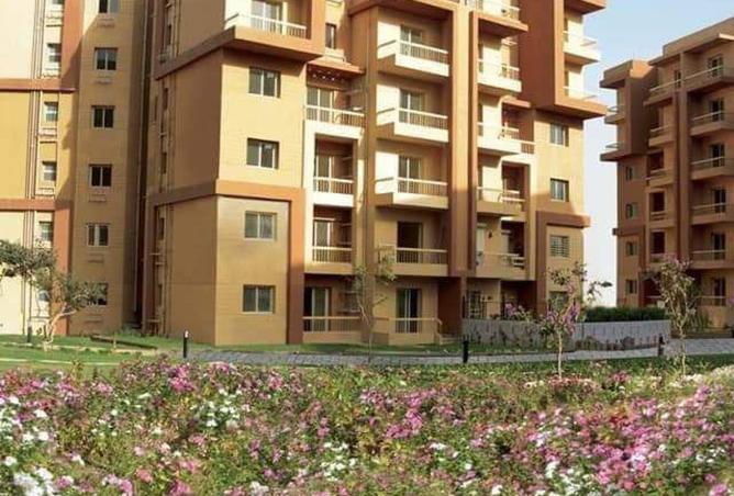 8355034 - Property Image 3