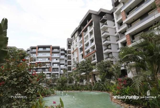 8099331 - Property Image 3