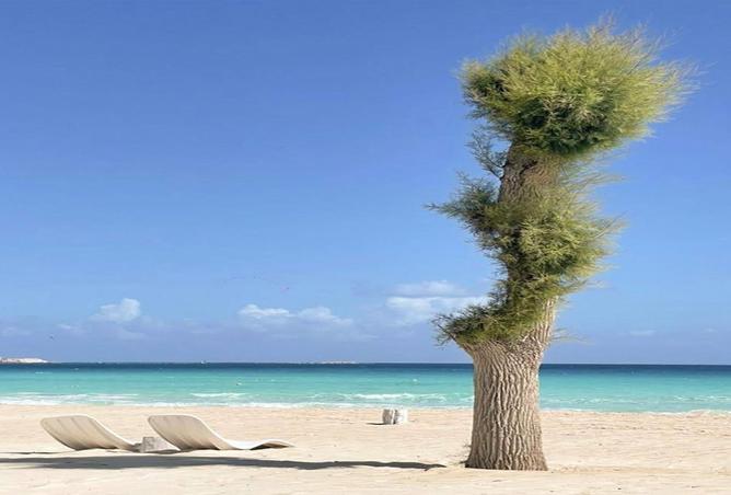 8407894 - صورة العقار 2