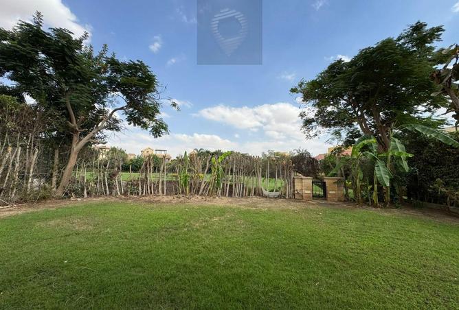 7954574 - صورة العقار 2