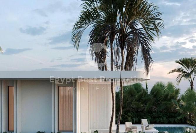 8385431 - Property Image 3