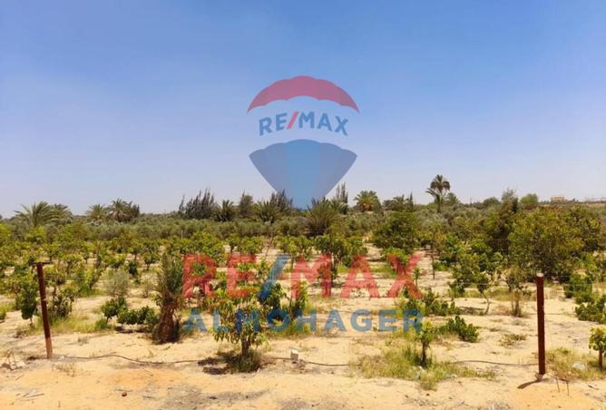 8305994 - Property Image 3