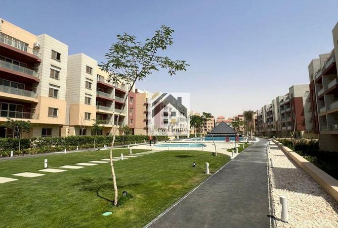 8187853 - Property Image 3