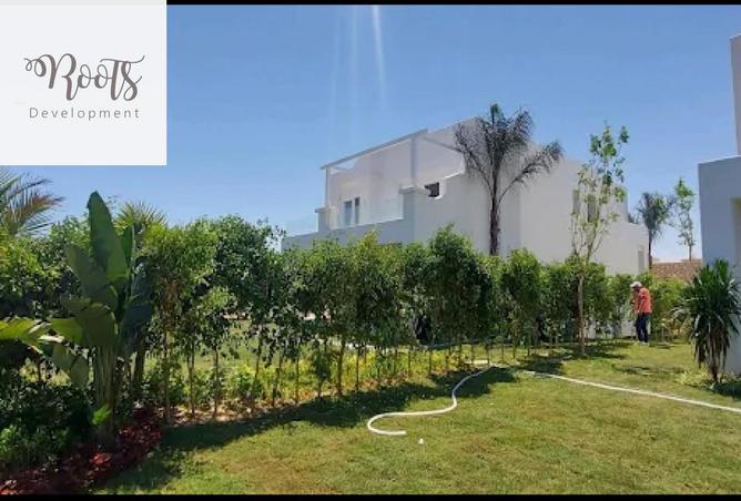 8279083 - Property Image 3