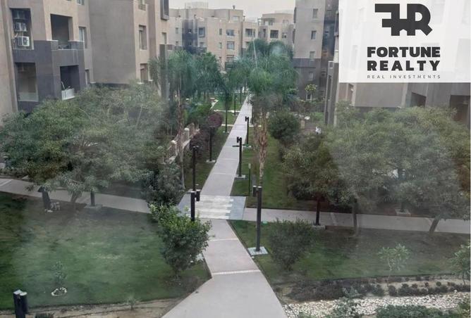 8338491 - Property Image 3