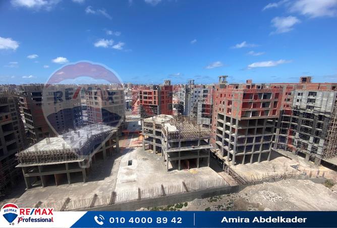 8131665 - Property Image 2