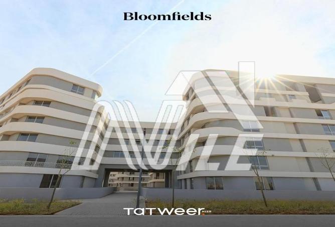 7983683 - Property Image 3
