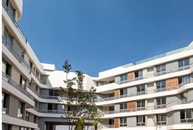 8176909 - Property Image 2