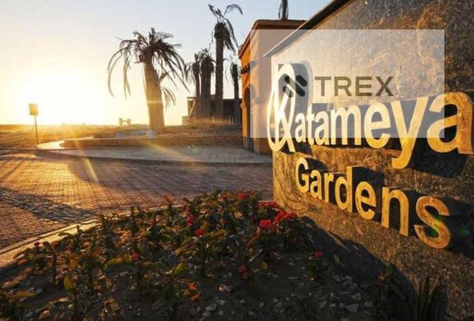 8331705 - Property Image 3