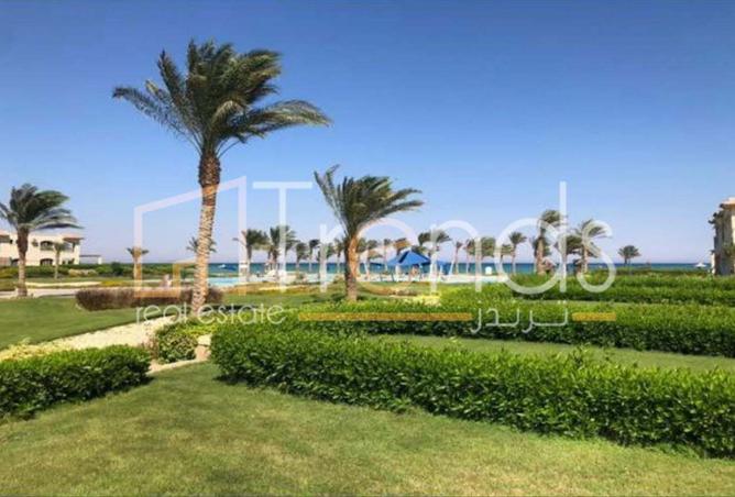 8136561 - صورة العقار 3