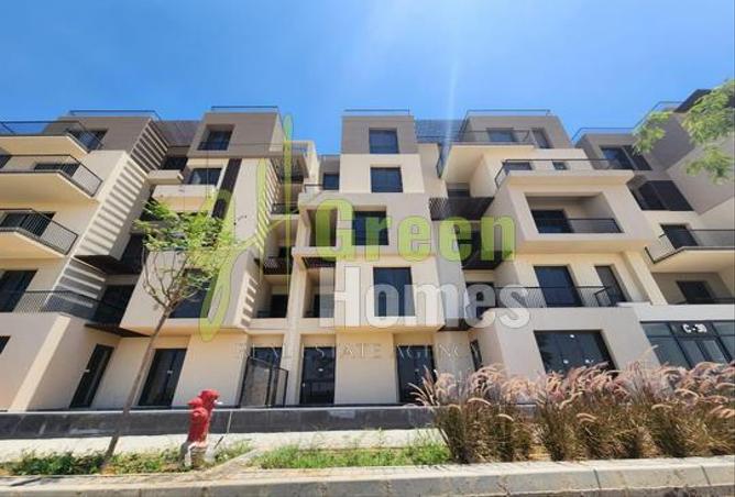 7993549 - Property Image 3