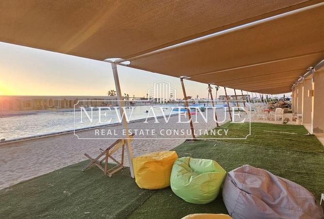 8384052 - Property Image 3