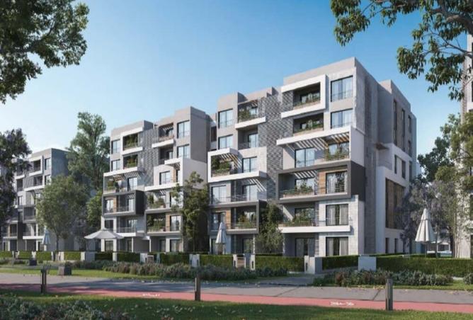 7995486 - Property Image 3