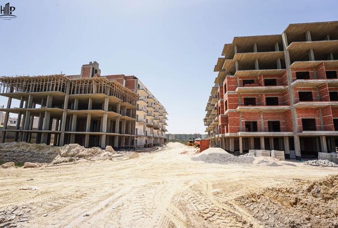 7998625 - Property Image 3