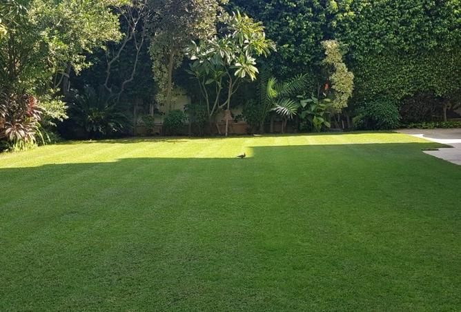 8550558 - الصورة الرئيسية للعقار