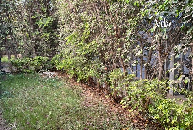 8272005 - صورة العقار 3