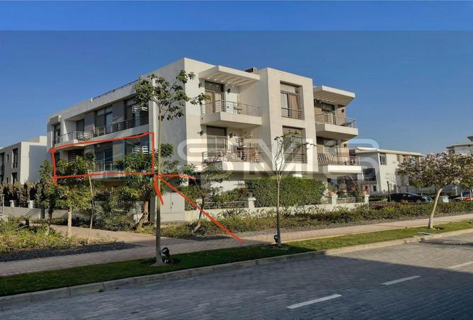 7975074 - صورة العقار 3