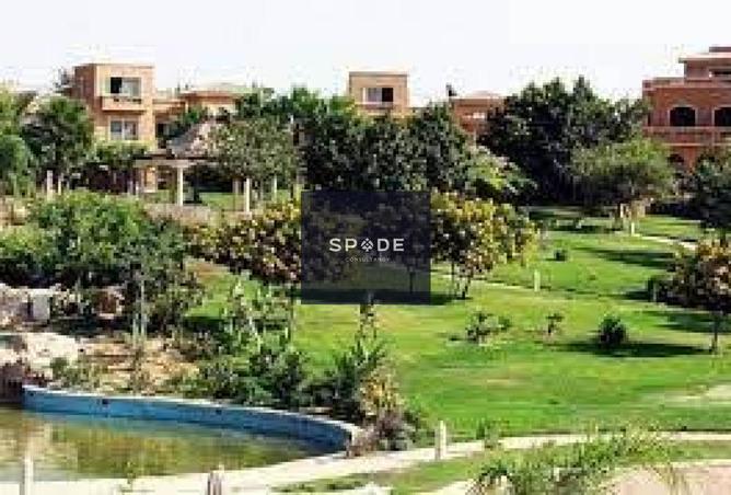 7891922 - صورة العقار 3